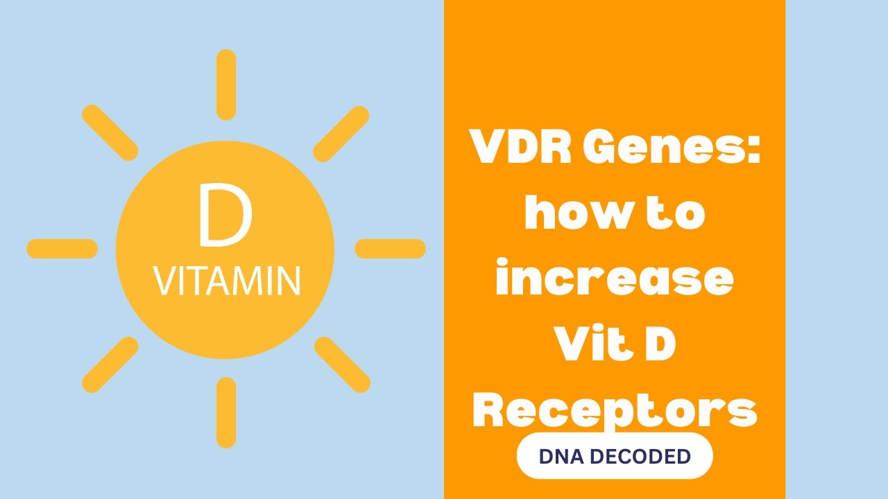 Vitamin D Genes: How to increase VDR Receptors: sulforaphane, avoid smoking, plus take VitK w/D