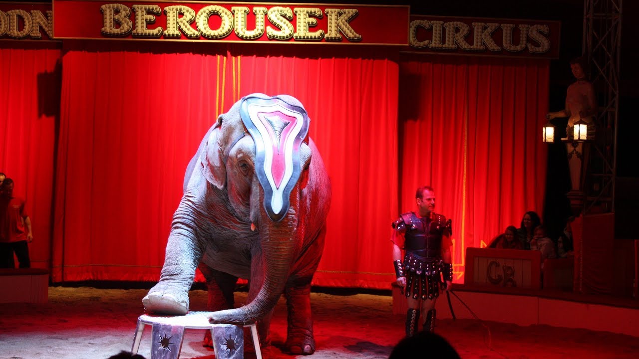 Národní Cirkus Originál Berousek