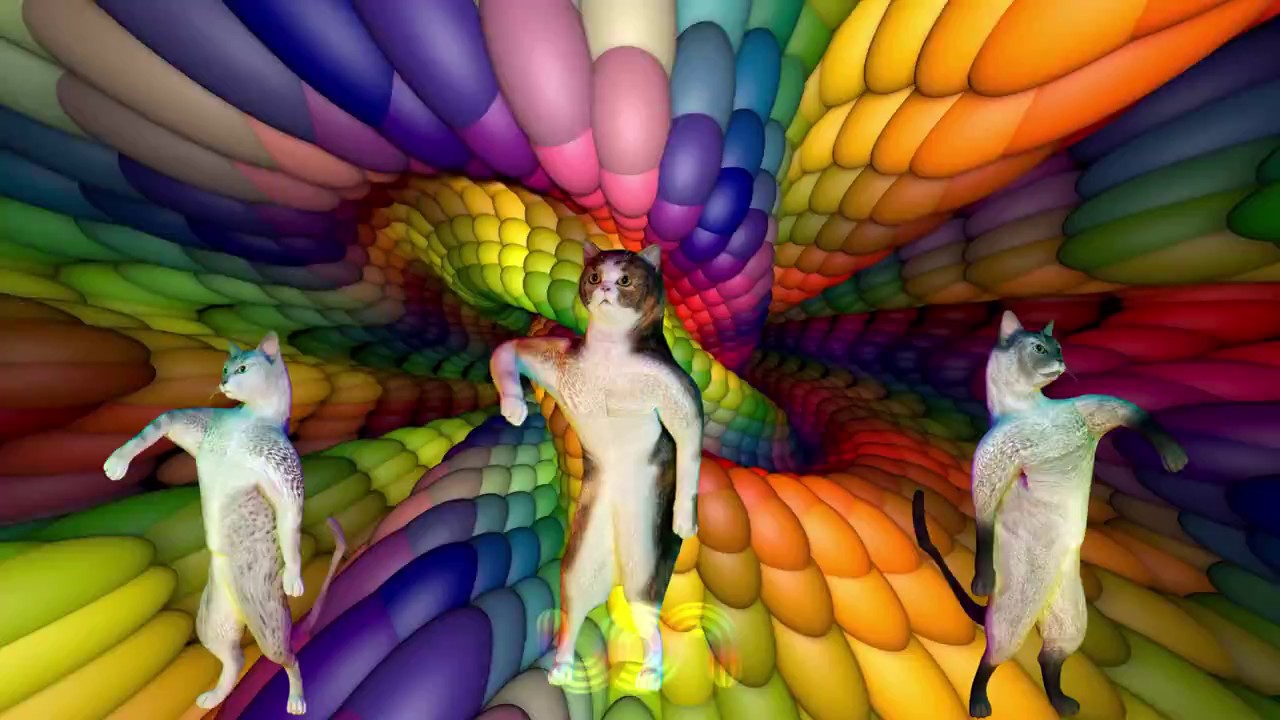 UON VISUALS DANCING CATS 2017 MIX