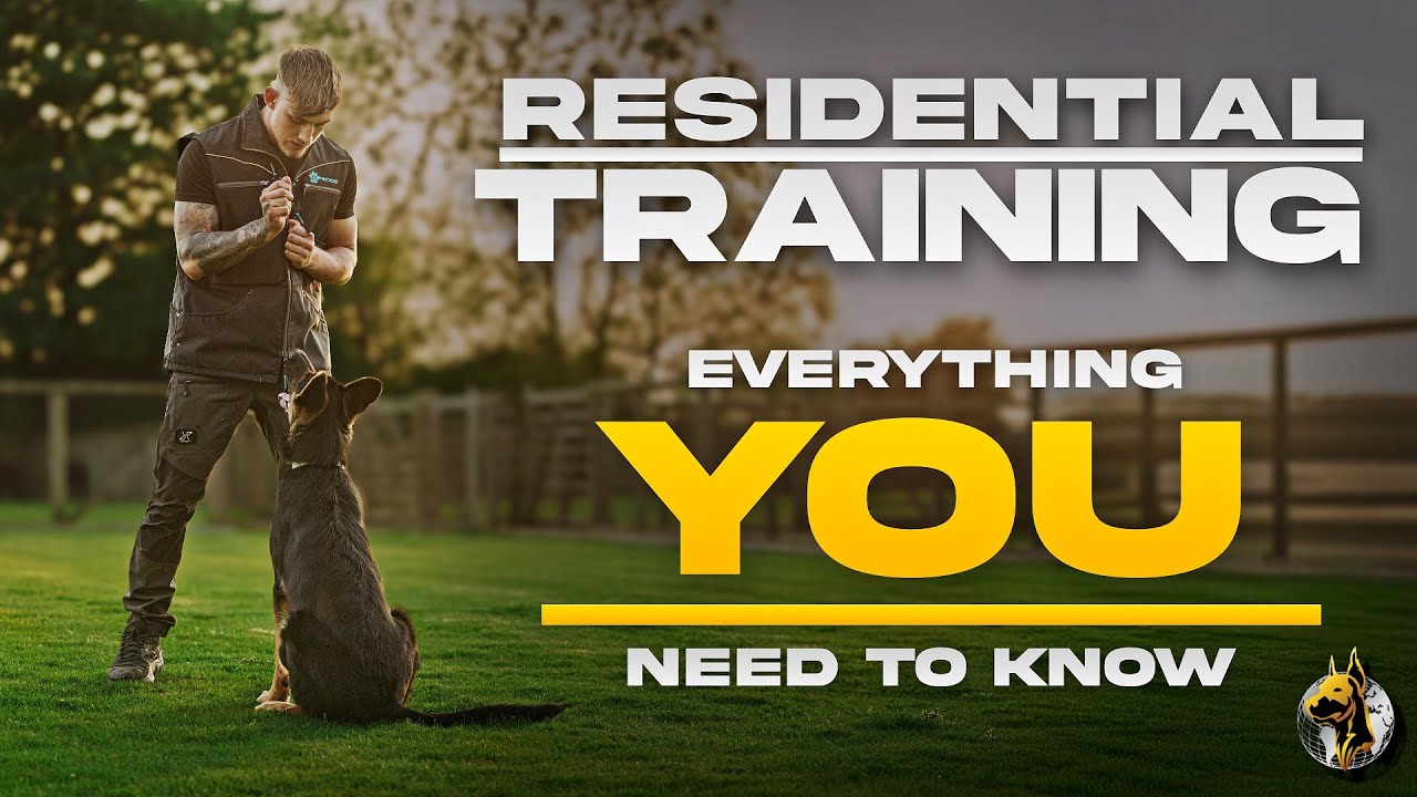Everything YOU Need To Know About Residential Training In Under 6 Minutes...