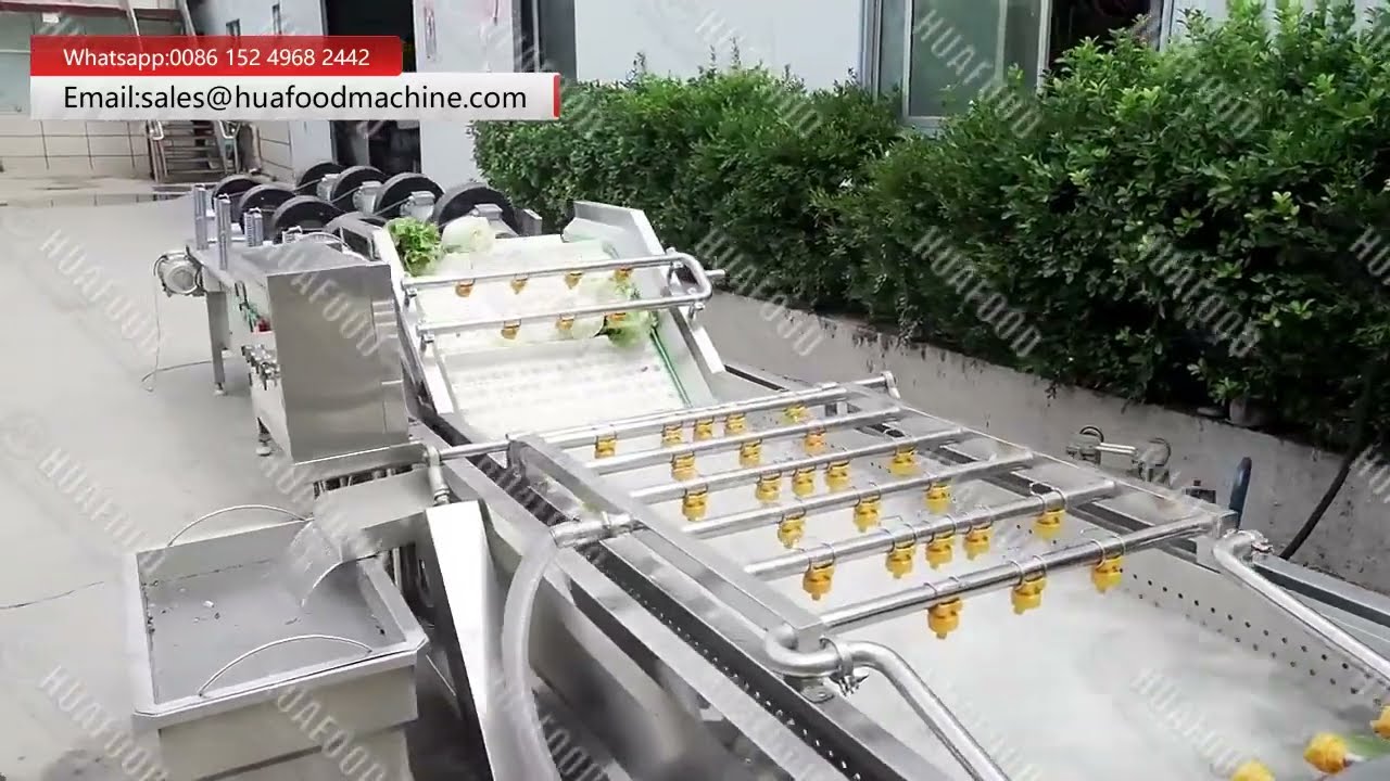 Lettuce Cabbage Vegetable Ozone Bubble Washing Machine For Salad