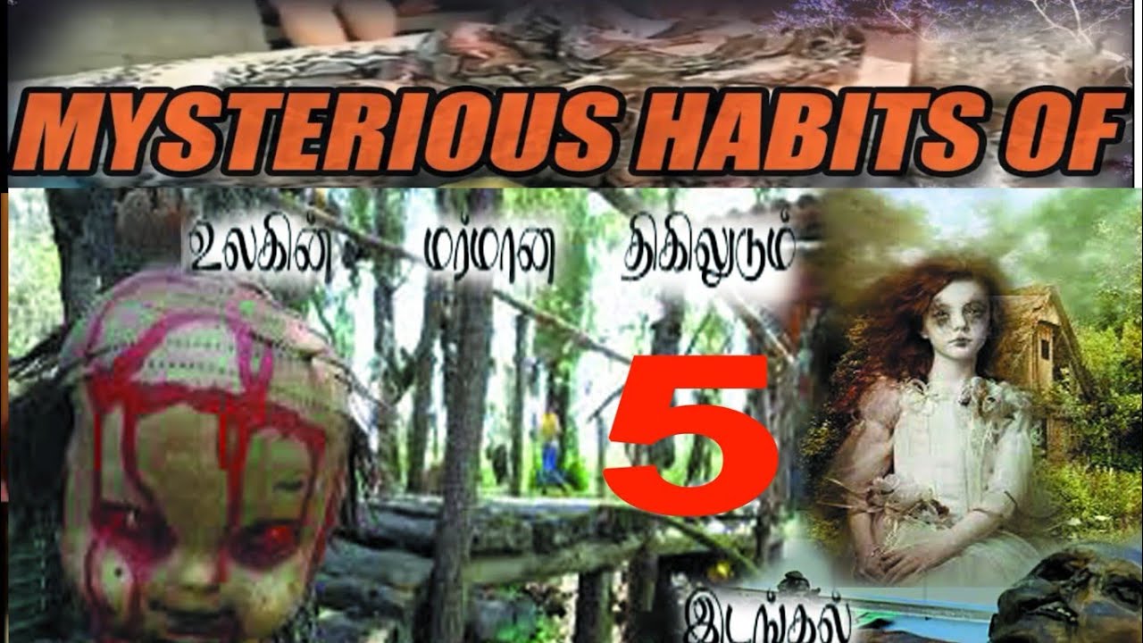 world's unbelievable places 😲-(don't watch👀 on night times)#maxinfo