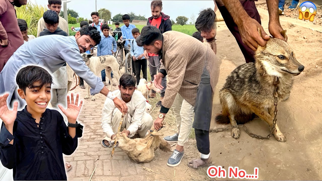 FOX 🦊 SHIKAR POSSIBLE WITH GABBAR BADMASH😍