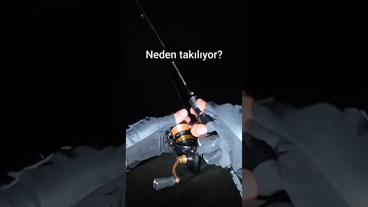 SIĞ MERALARDA DİKKAT EDİLMESİ GEREKENLER | LRF İSTAVRİT AVI 