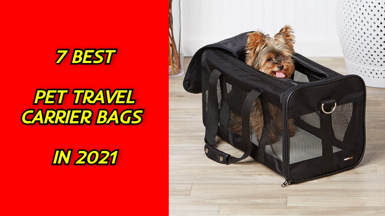 7 Best Pet Travel Carrier Bags in 2021