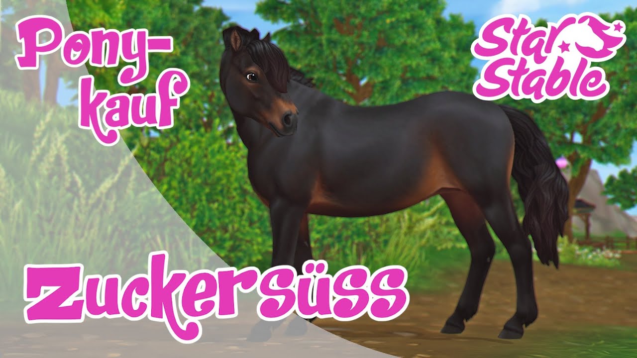 Star Stable [SSO] Pferdekauf - Das süße Dartmoor-Pony
