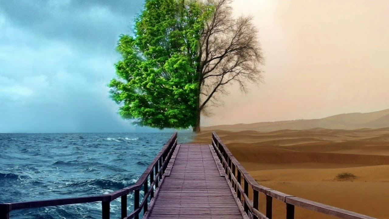Scorpions Mind Like A Tree Sub Español