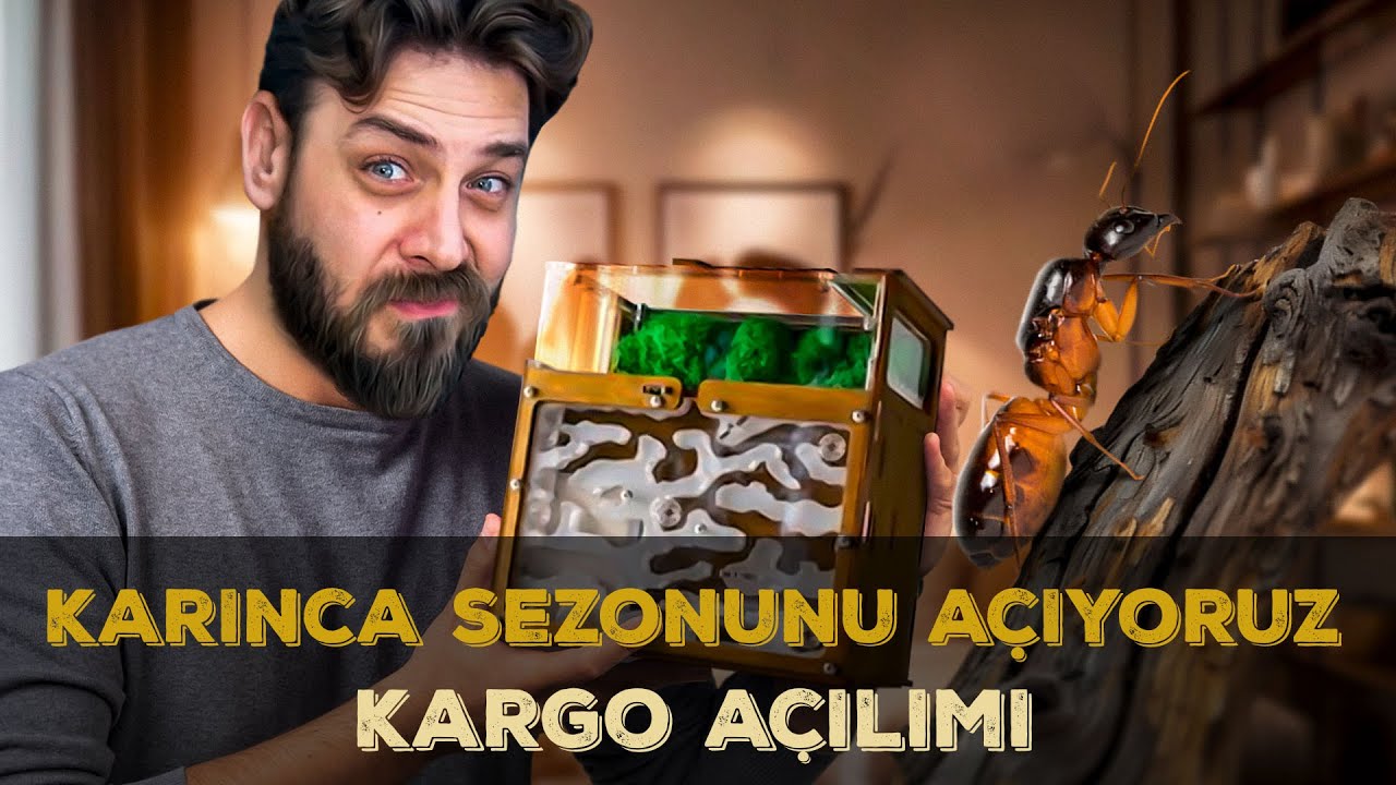 KARINCA SEZONUNU A&Ccedil;IYORUZ - KARGO A&Ccedil;ILIMI