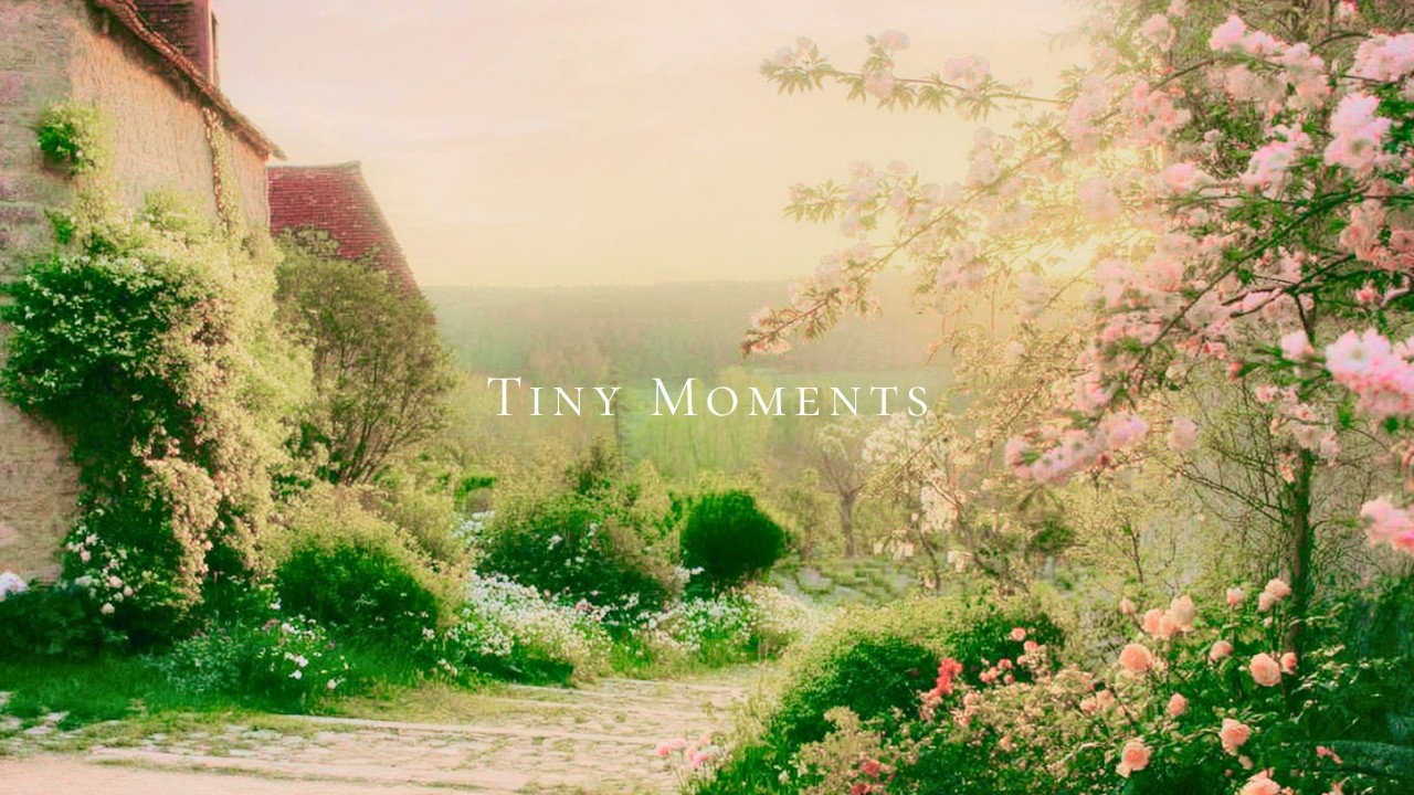 a piano playlist for soft spring mornings