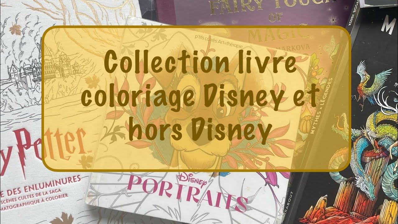 ✨Collection livre coloriage Disney + Hors Disney