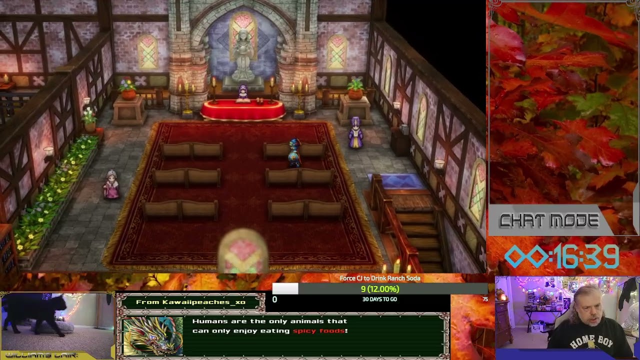 Dragon Quest 1 Remake - Galens Grave PT 7(A)
