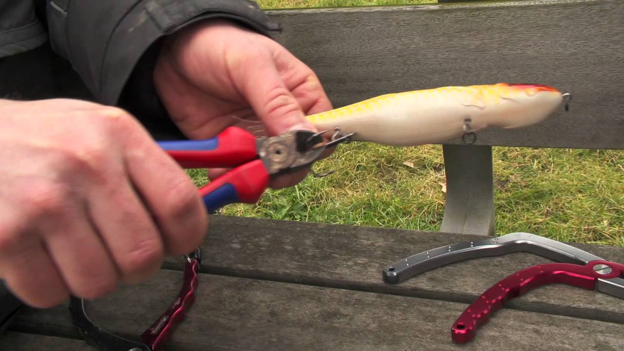 Visblad TV - Snoek en veiligheid