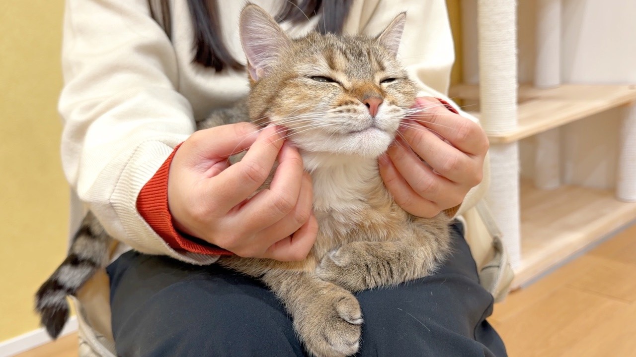 お騒がせしましたが…しまちゃんは元気です！