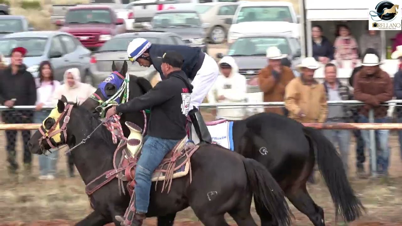 LA TAQUERA vs EL TIBURON