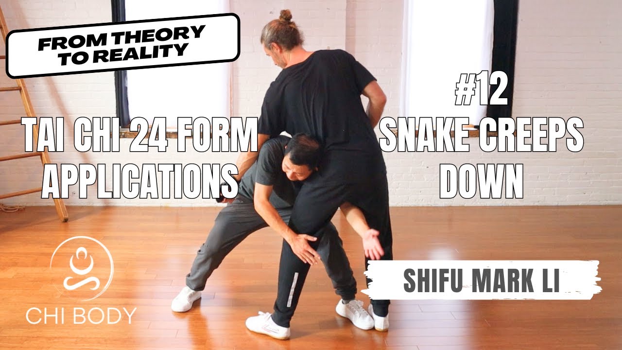 Tai Chi 24 Form Practical Applications #12: Snake Creeps Down