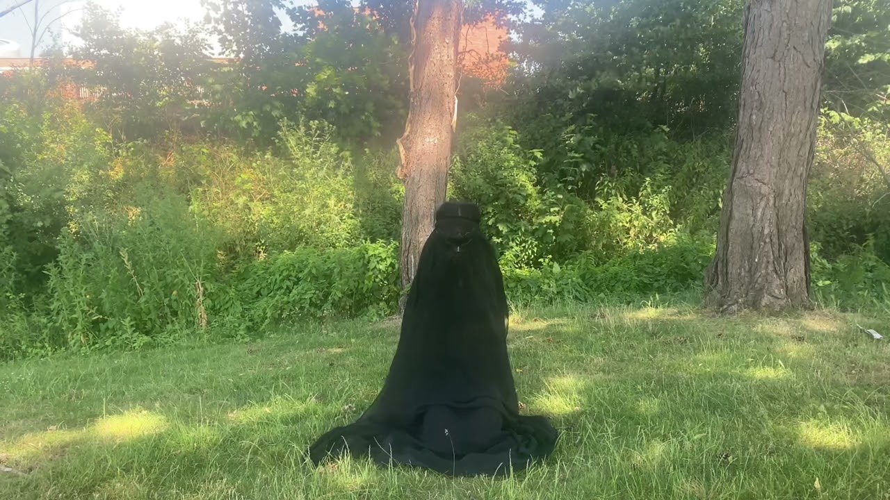 Veil of Isis | Performance | Artist  #performance 