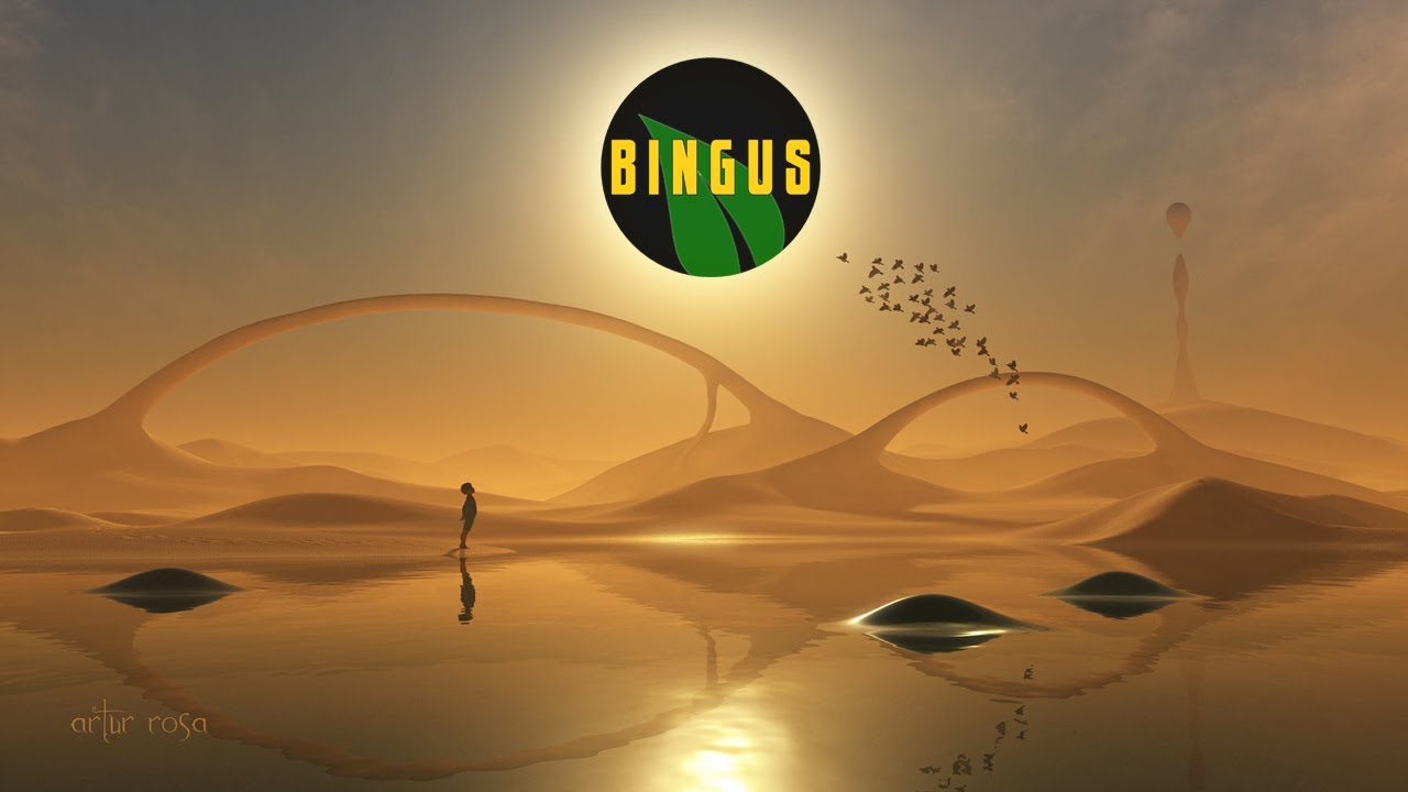 Bingas Day 45