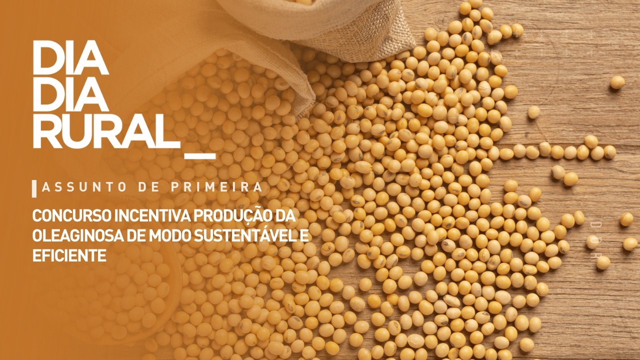 Concurso incentiva produção da oleaginosa de modo sustentável e eficiente