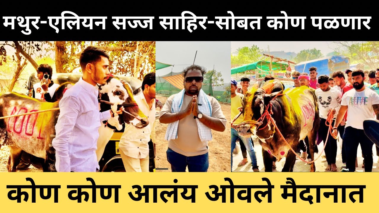 मथुर-एलियन १००१ सज्ज शाहीर सोबत कोण पळणार?