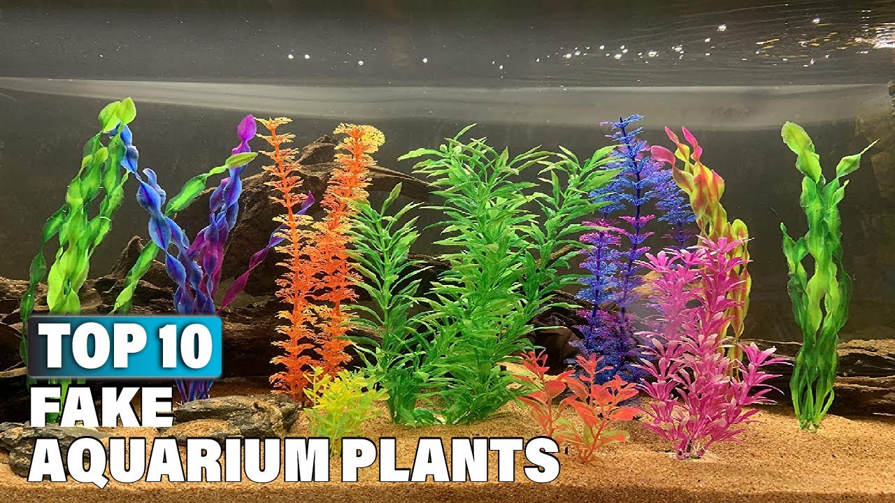 Best Fake Aquarium Plants in 2025 (Top 10 Picks)