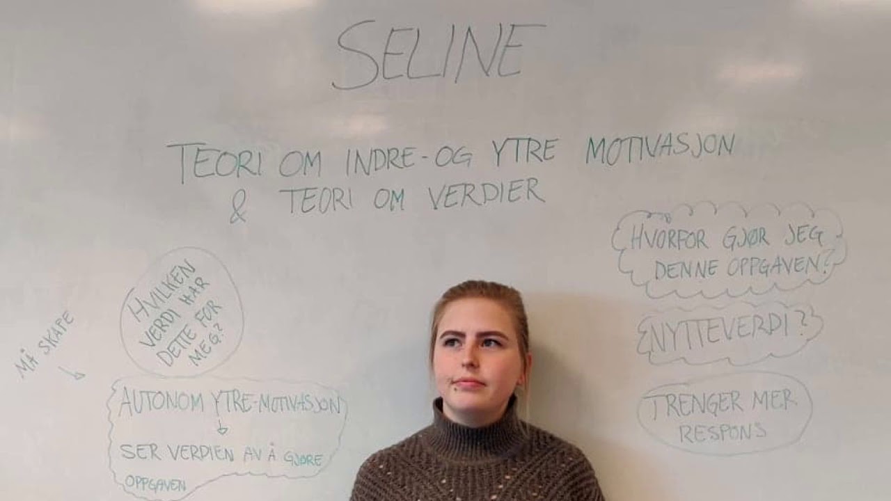 Teori om motivasjon PEL
