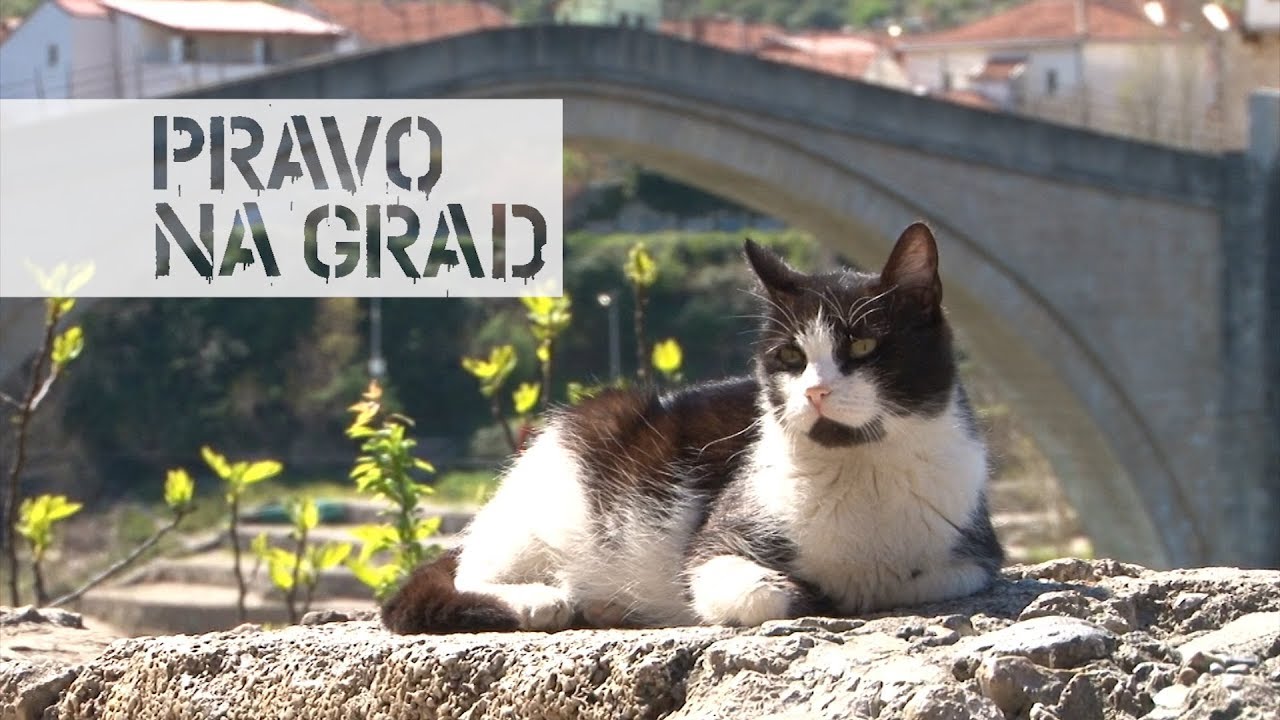 Mostar - Stari grad u vrijeme korone