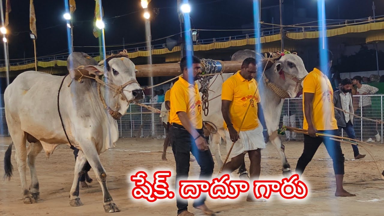 చిలకలూరిపేట సబ్ జూనియర్స్ 9వ