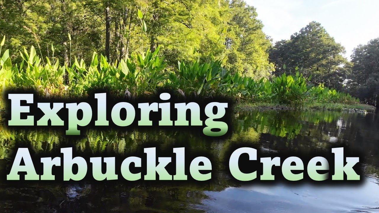 Exploring Arbuckle Creek for the First Time | Late Summer Panfishing Adventure