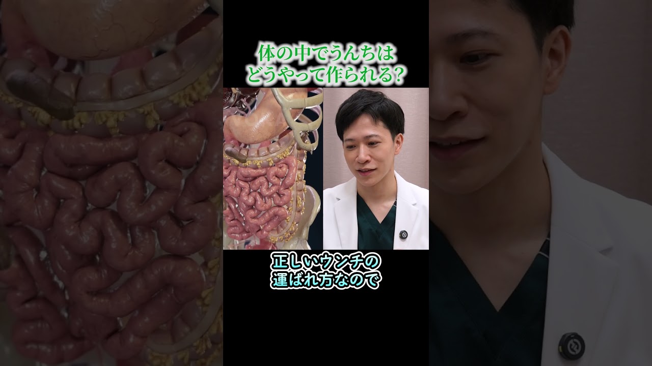 【超意外！】うんちが作られていく様子に驚き！#便秘 #大腸がん #便秘解消