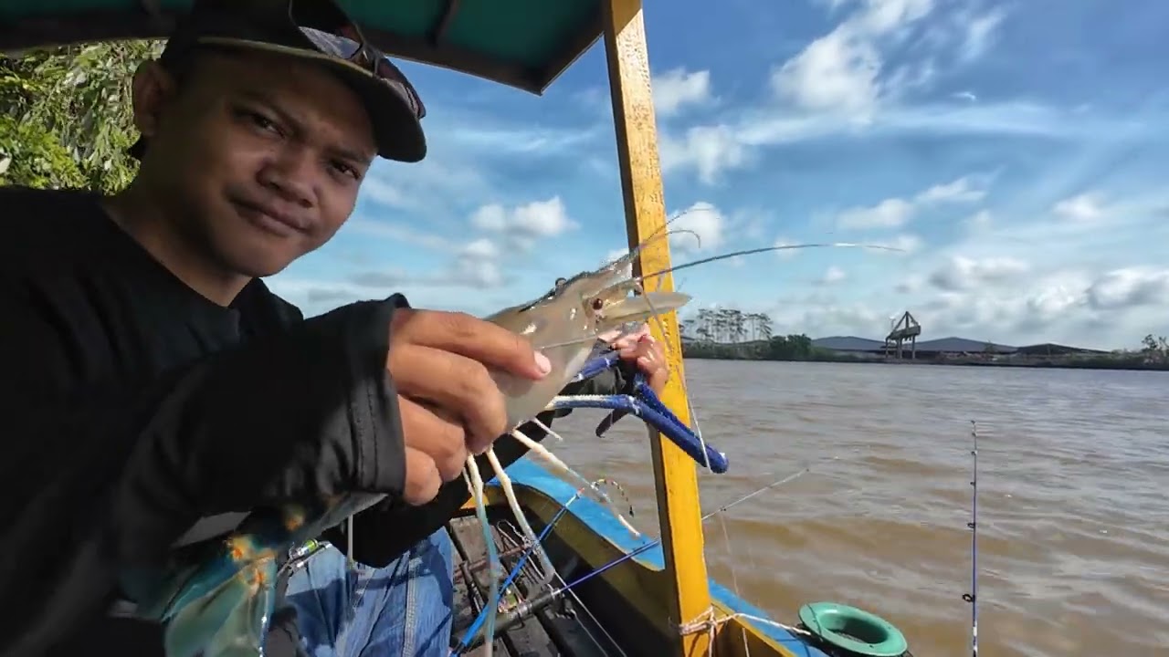 Mancing udang galah pertama 2026, capit biru panjang di Sungai Pawan Ketapang