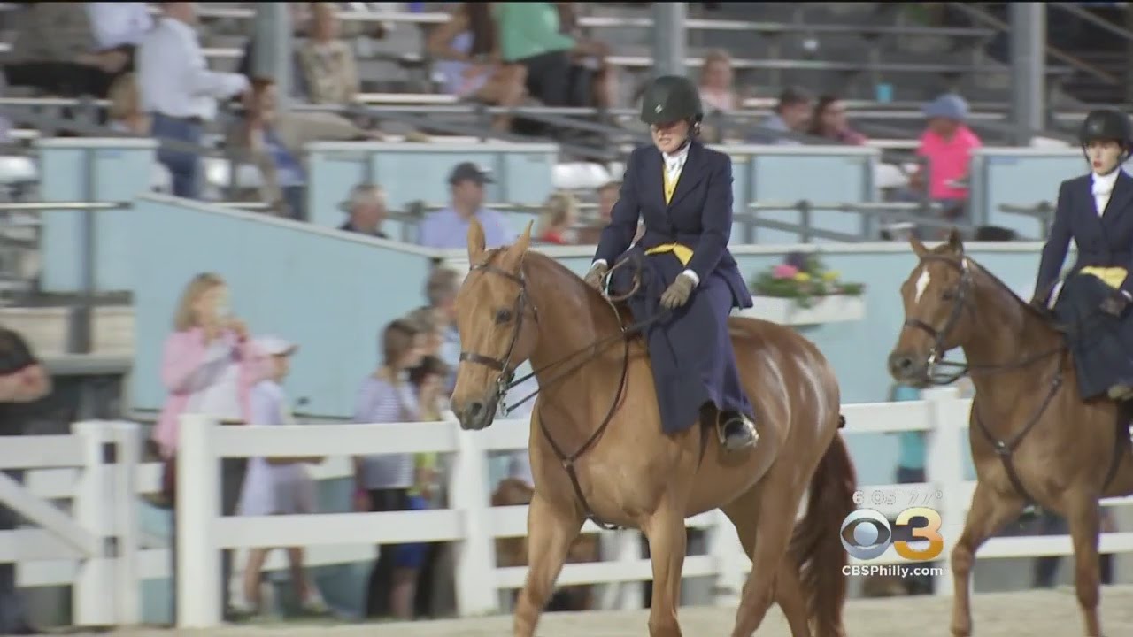 A Look At Sidesaddle Riding