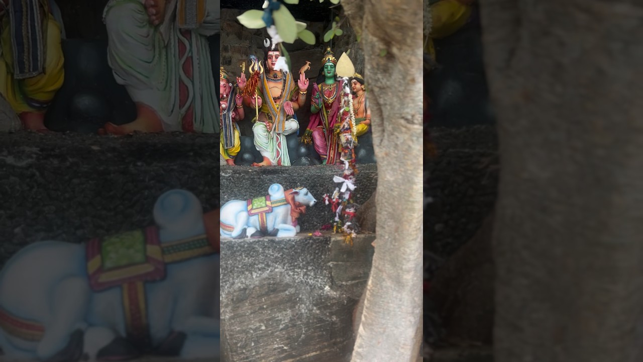 Thirukoneswaram  🦌😍- Sri Lanka 🍃 #srilanka #shorts #shiva #outing #fyp