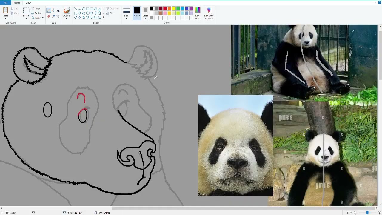 Speedpaint: Giant Panda