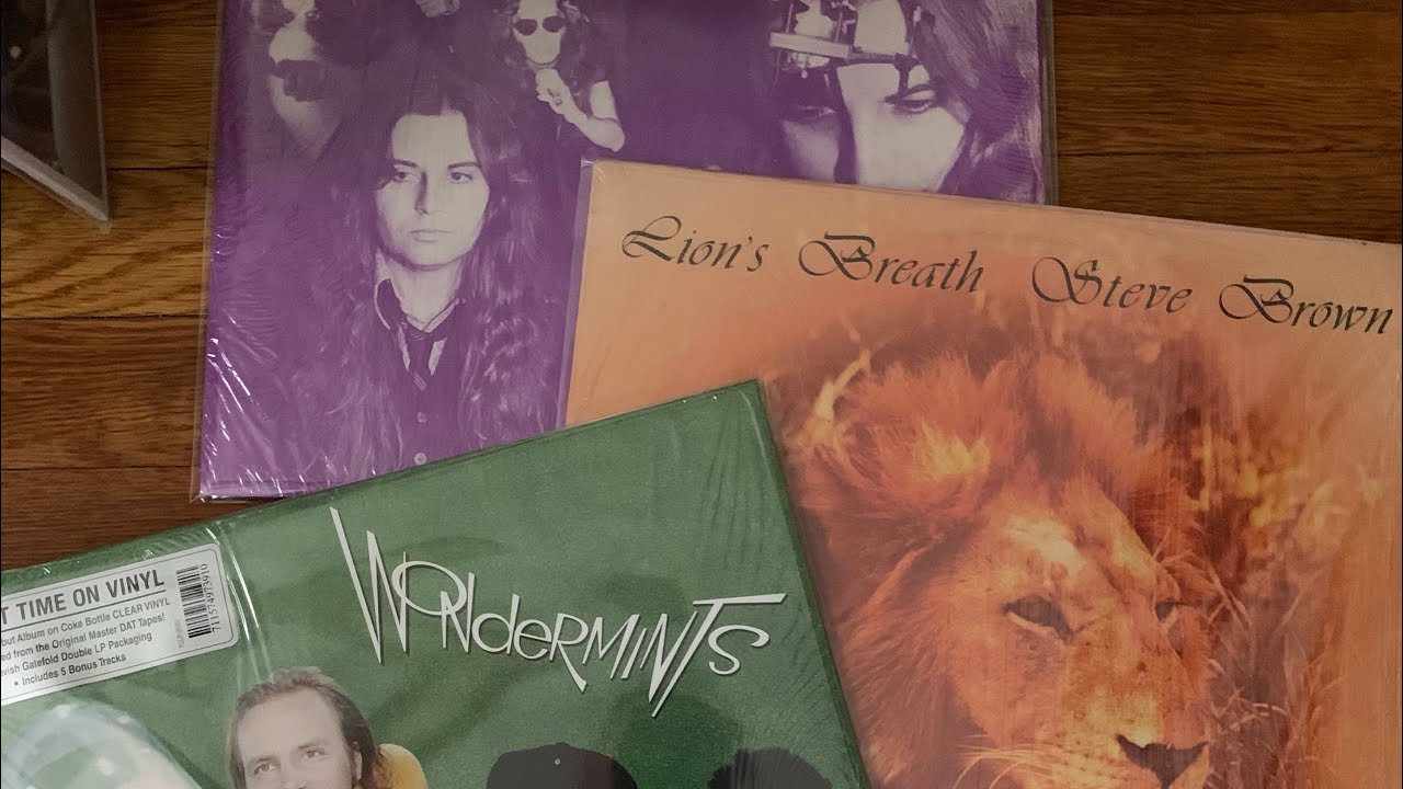 Vinyl Finds acid archives, Americana, cyber punk, garage, loner folk, country rock, alternative 