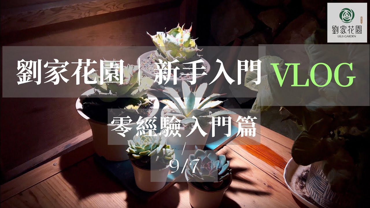 劉家花園—新手入門系列｜多肉植物零經驗新手入門篇｜新手常見的問題 Q&A