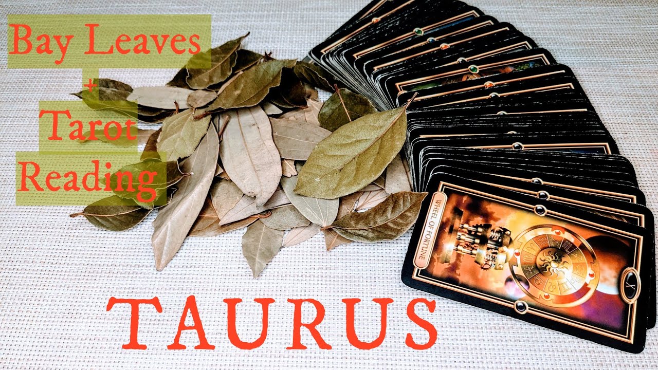 TAURUS - You Are Soaring to the Top! JULY 1st-7th