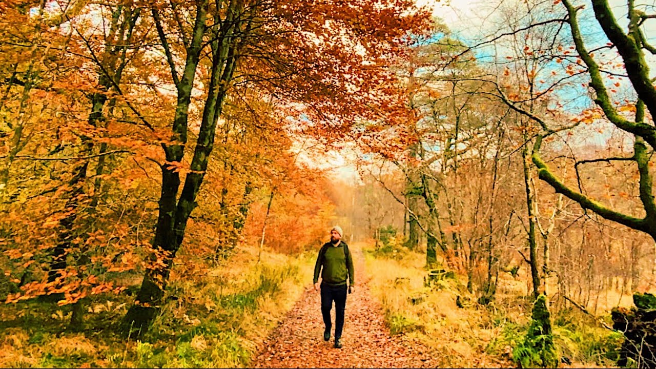 Scotland's Rare Highland Wilderness