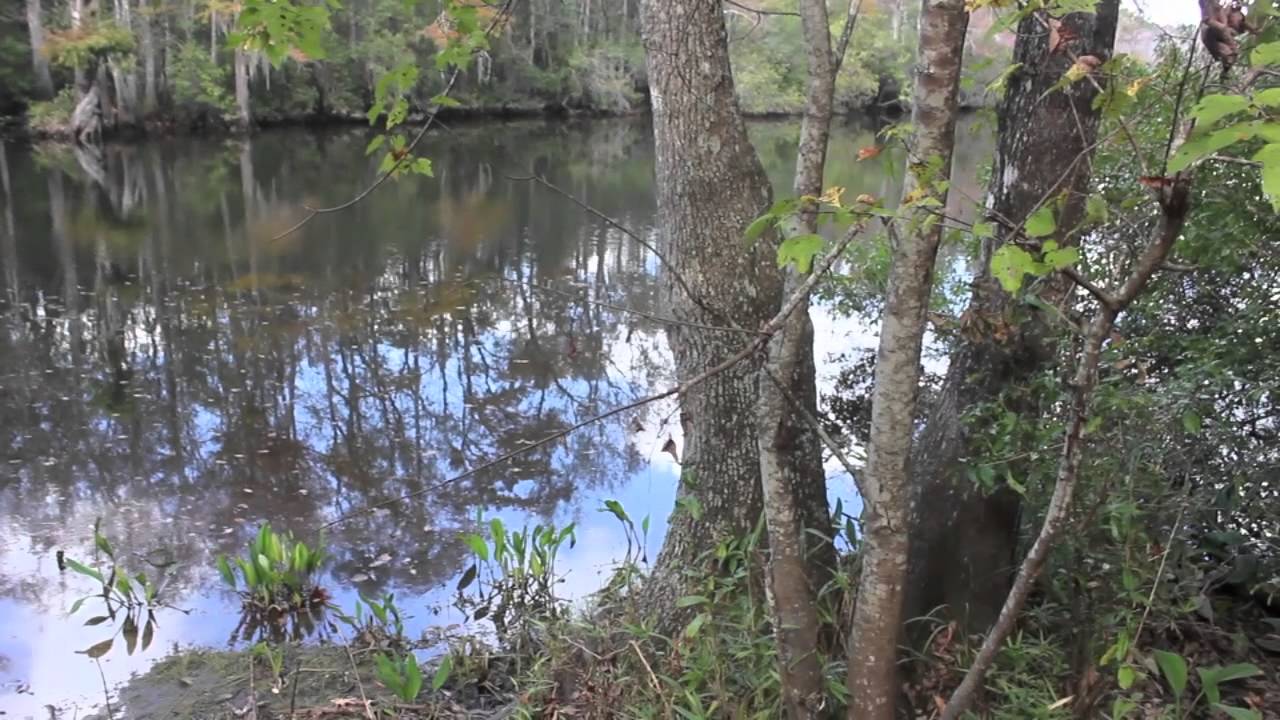 Friday The 13th Part 7 - Filming Locations - The Woo Blood !