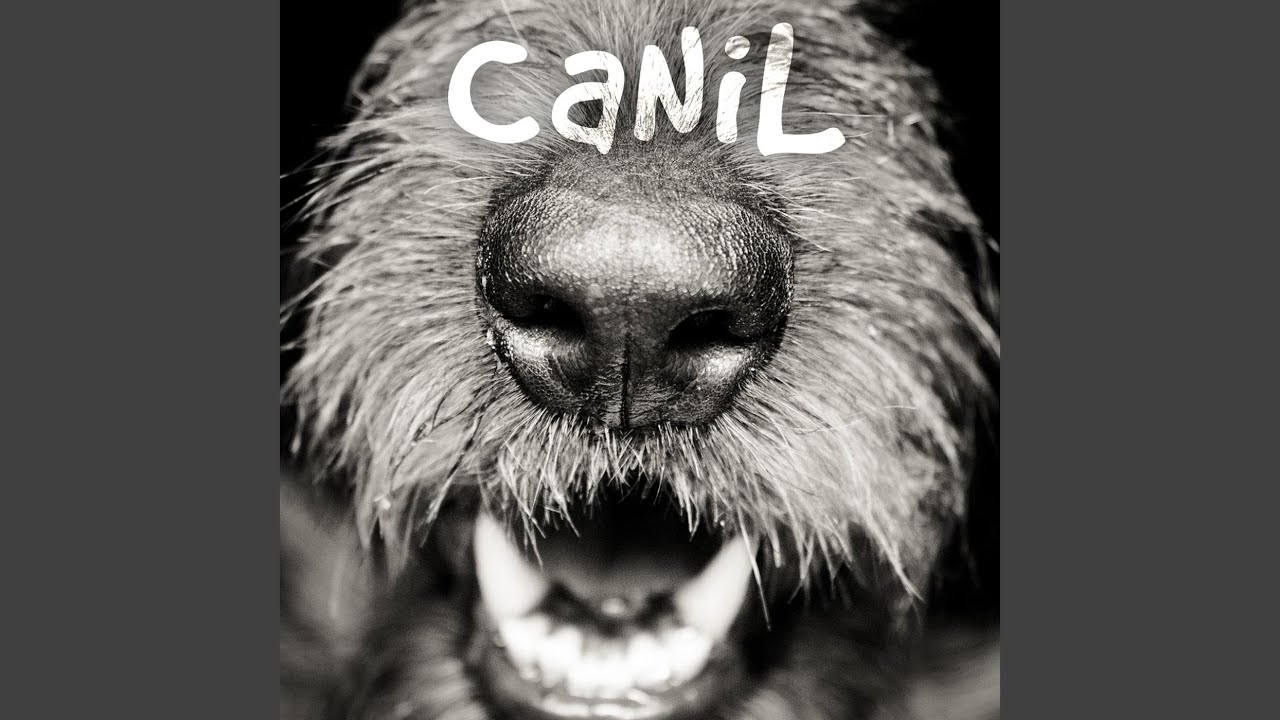 Canil