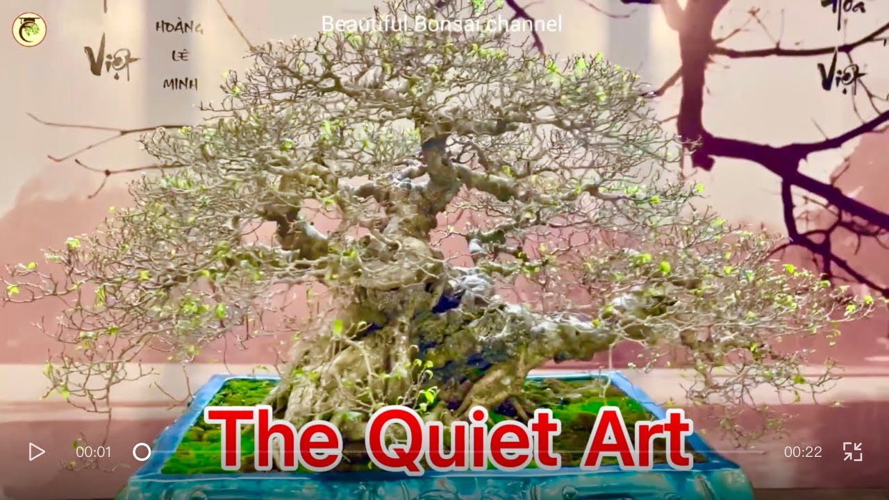 Behind a Bonsai Style and the Artisan’s Path