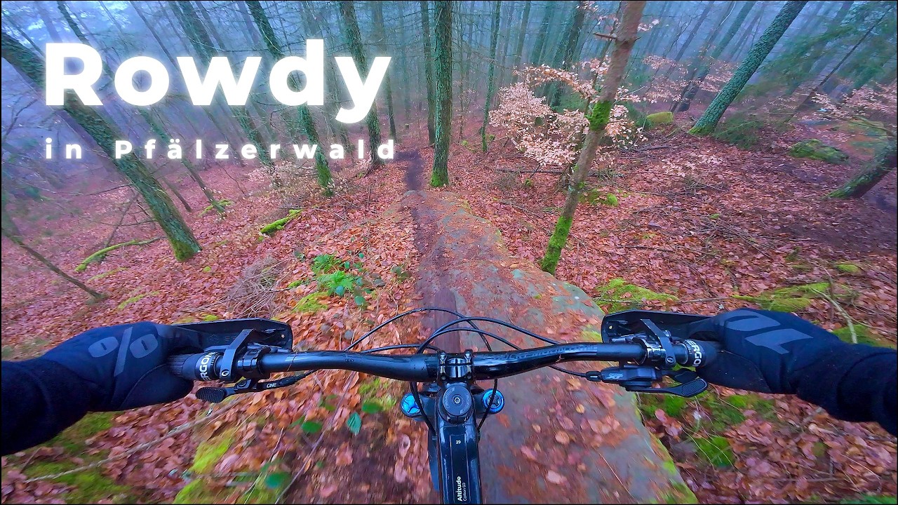 Some sh*tty riding in der Pfalz  |  MTB