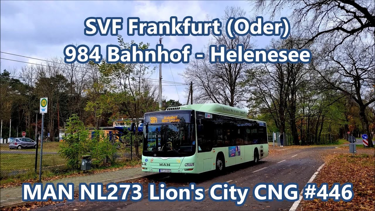 SVF Frankfurt (Oder) - Linie 984, MAN NL273 Lion's City CNG #446