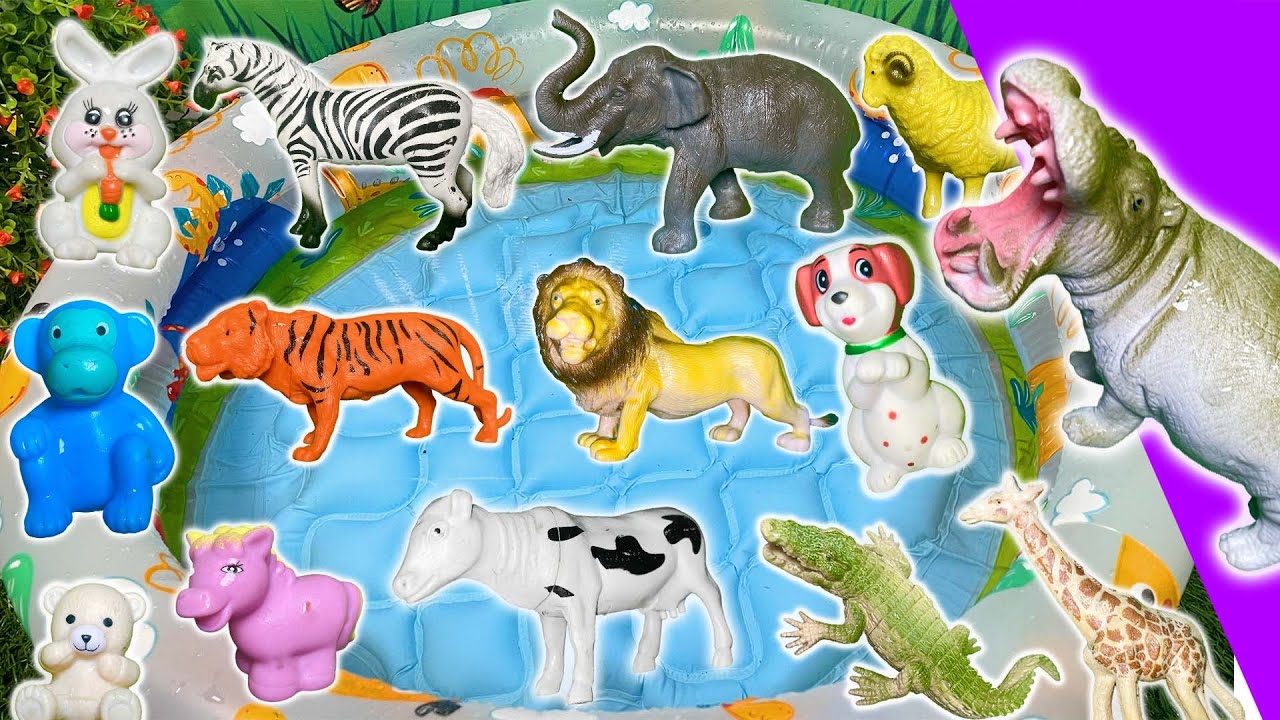 Learning Animal Names for Kids | Duck, Giraffe, Tortoise, Bear, Kangaroo