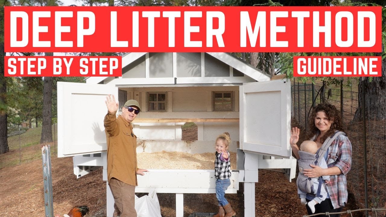 DEEP LITTER METHOD Guideline - Secrets of the Ultimate DIY Chicken Coop(fast easy clean out tips)