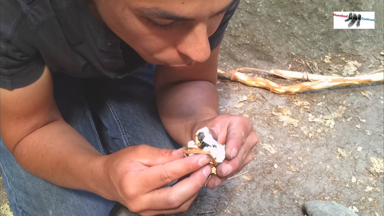 Z&oacute; ging dat vroeger: Vuur maken met markasiet (6)
