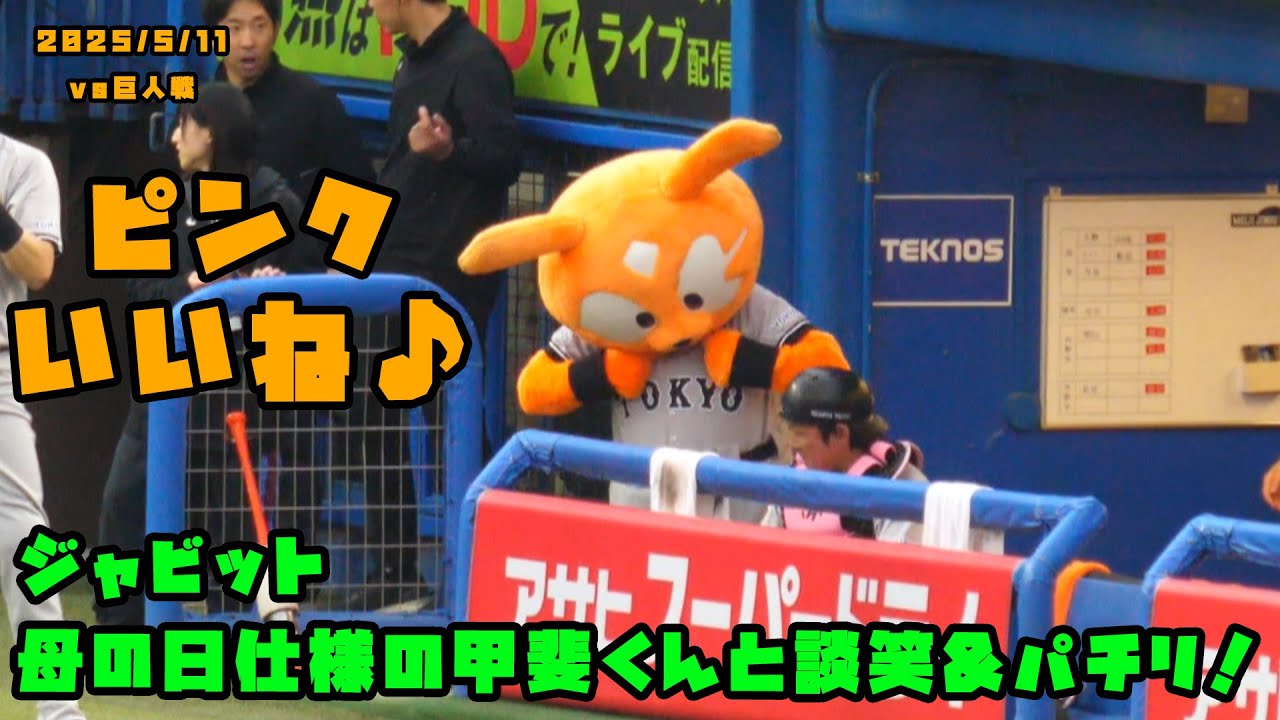 ジャビット　母の日仕様の甲斐くんと談笑&パチリ！　2025/5/11 vs巨人