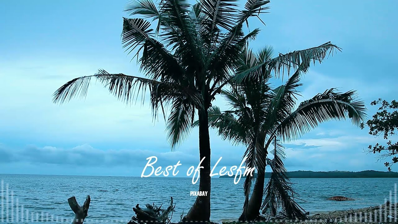 Best of Lesfm - Pixabay