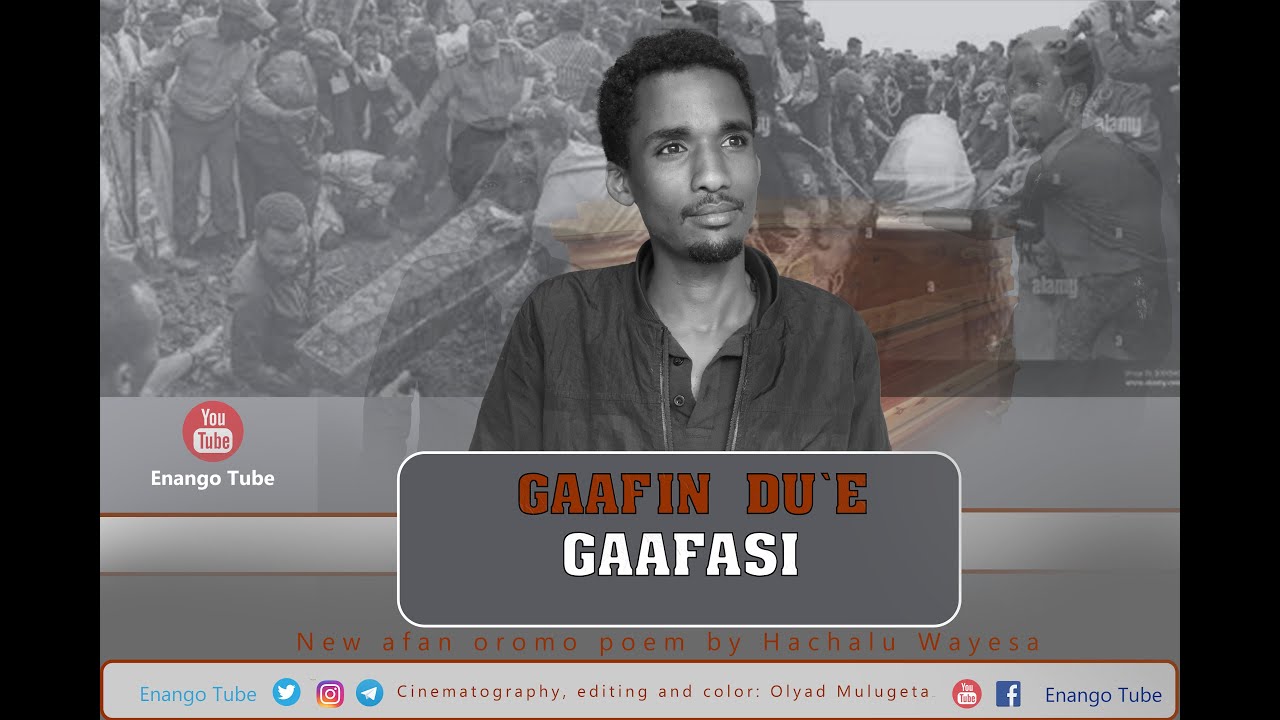 new afan oromo poem/ Gaafin duè gaafasi Haacaaluu Wayyeessaa @EnangoTube  EGEREE MEDIA