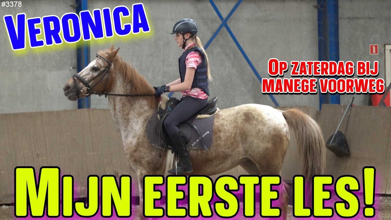 Mijn EERSTE PAARDRIJLES op Zaterdag bij manege Voorweg in Zoetermeer. Ik rij op VERONICA  #3378