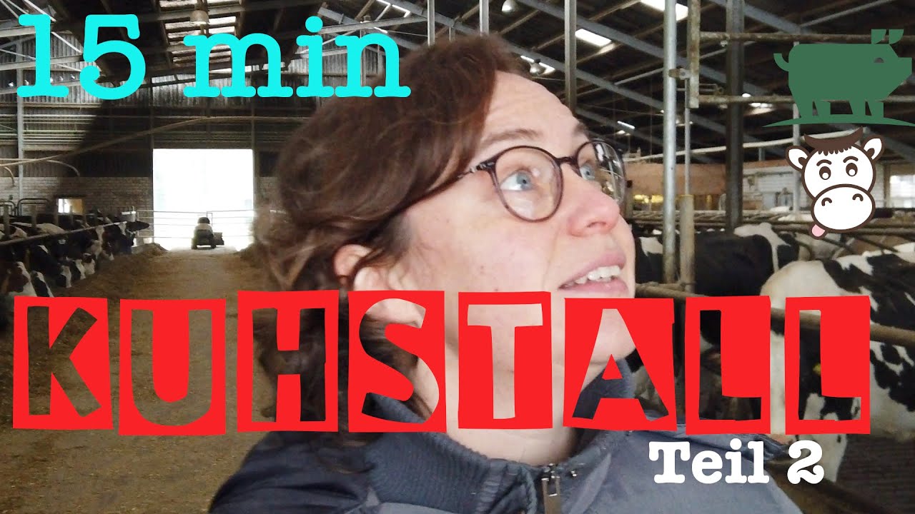 15min Kuhstall Teil 2